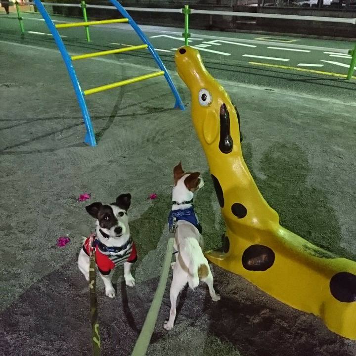 79fca8c1 2f54 4a13 a793 86c9e7a76bc9 1524830071019