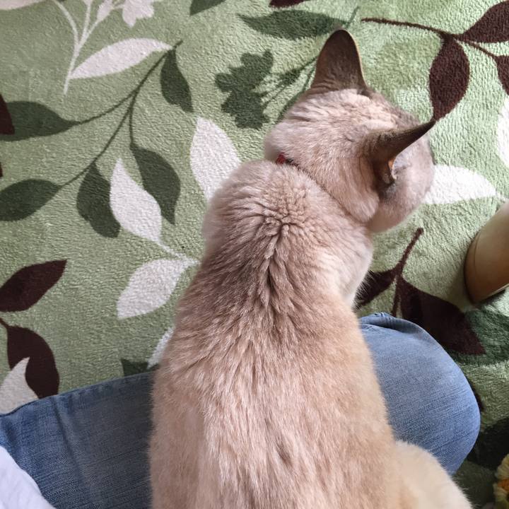 79fca91b 1da7 445b 9e90 32469e844318 1588636301761