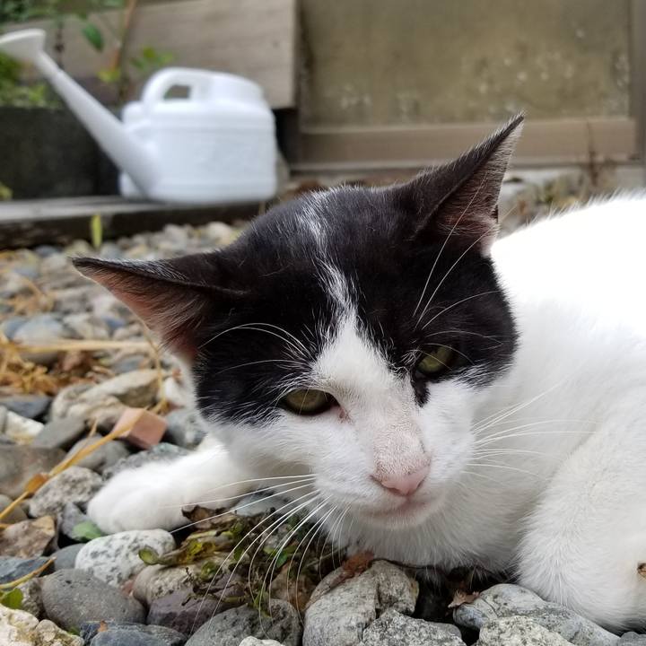 79fcaba6 1c8c 4607 b4b9 58cfc563af50 1565427455946