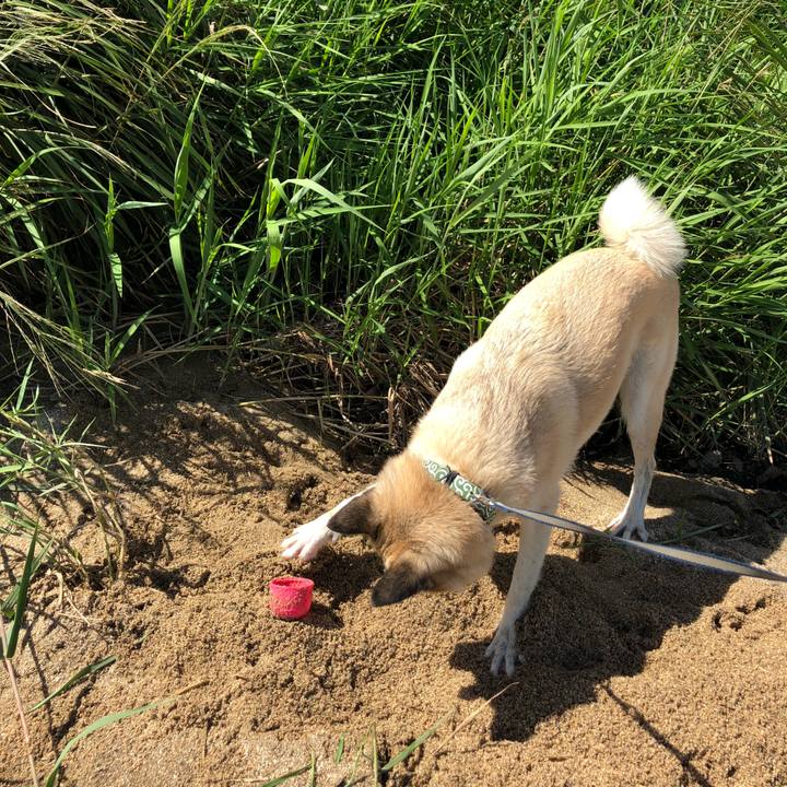 79fd0e9a f7bc 4323 a52f ed8fccf17561 1597061920789