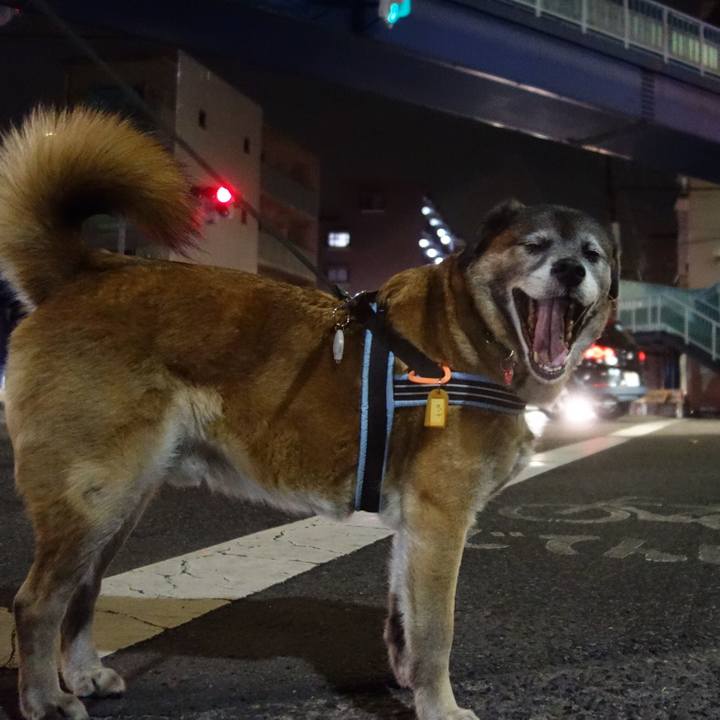 79fd19d5 9a5a 4d8c ae83 2dde711d3f33 1631836991729