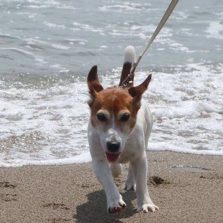 79fd5ec4 9d6c 4bf4 9907 437aa77c9dcd 1528811351241