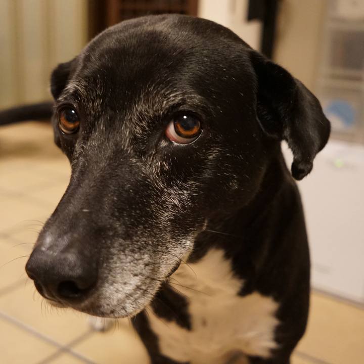 79fdaad7 8da8 4ed9 957e db71fbe2bc32 1767093518292