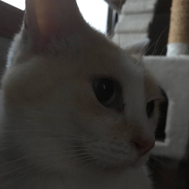 79fdd2ae fa9b 471d a726 c55b55ced79b 1521854775051