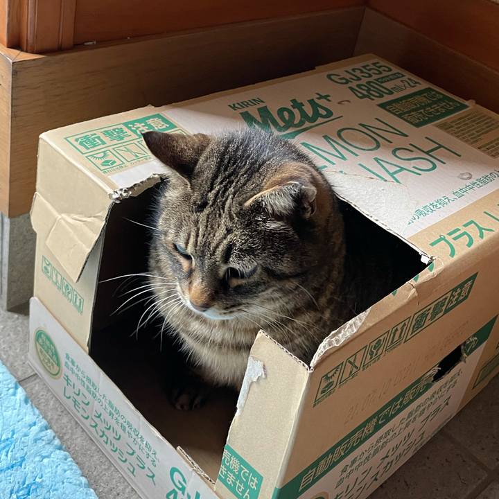 79fddd48 b46c 4ffa 8a23 429c13385533 1615606248990