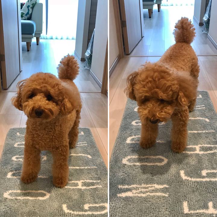 79fde1d7 6fab 4d29 960a 6dd84d6e23d7 1537855298063