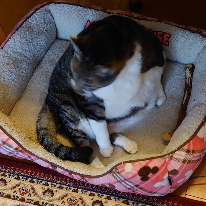 79fe061f 5350 4b4e b822 639d9bfd2f8a 1676987400581