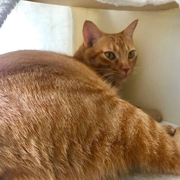 79fe1353 d1db 401e b5d1 8e49150b477b 1600761030552