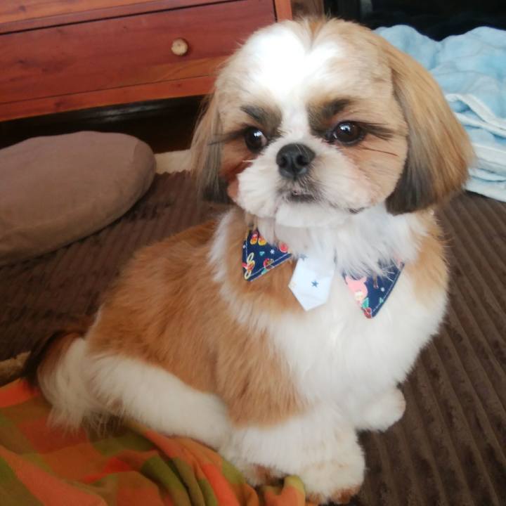 79fe2736 2f74 40d8 a282 45f3fe9b4663 1547020008687