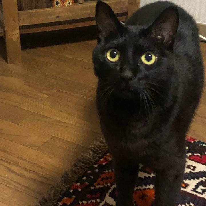 79fe3e59 edc4 406a a3ad 44dc2776b6f5 1641481523511