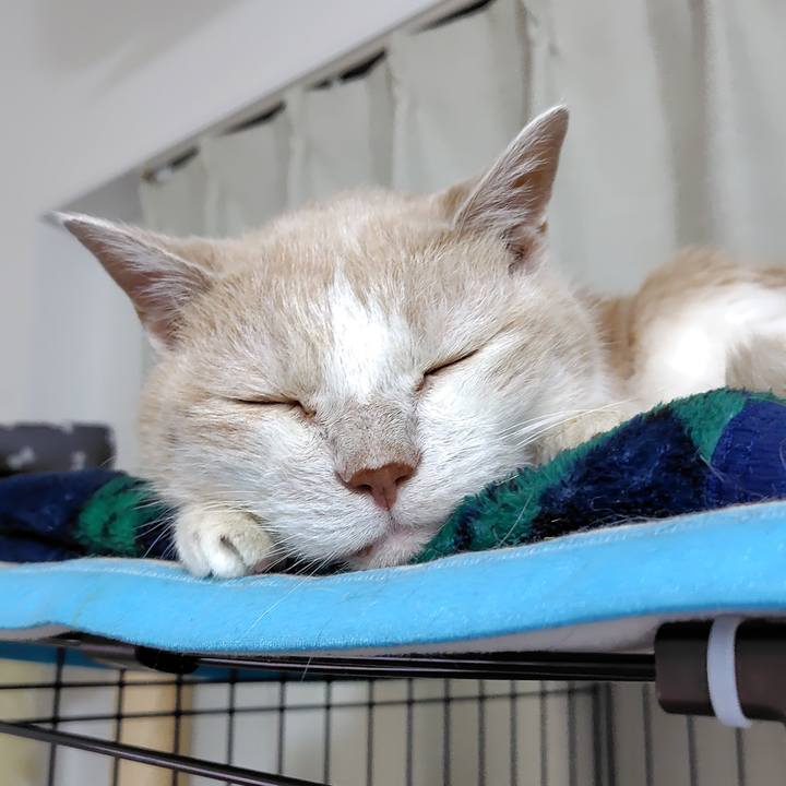 79fe4d36 e7fc 4224 883a d5b2cc625805 1760699963195