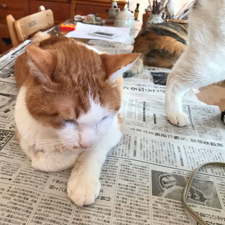 79fe9282 0da3 4bc2 af37 501a66d0523f 1627426312966