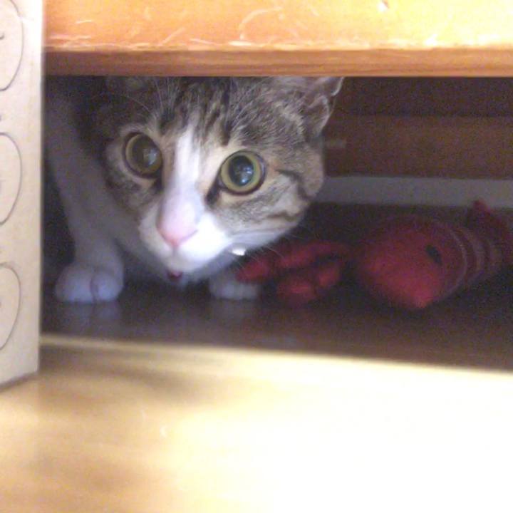 79feb66c 34f0 4cf3 85dc 2c95c6a7b4c6 1667816621169