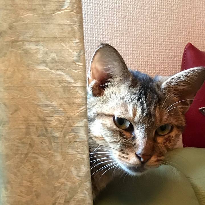 79feef3a 6360 49b5 8251 f490fb52e369 1572834282259