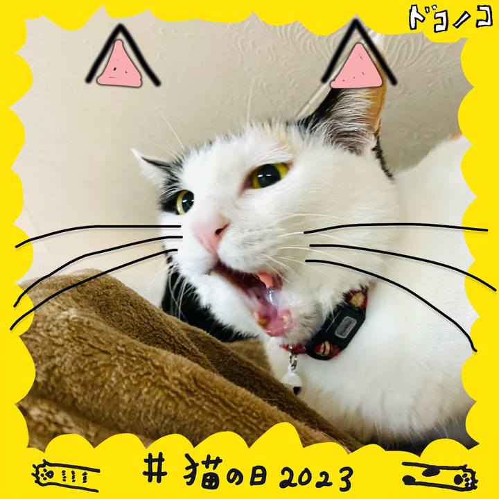 79ff0f86 9eab 457d af67 b5bfce5a942f 1677013132701