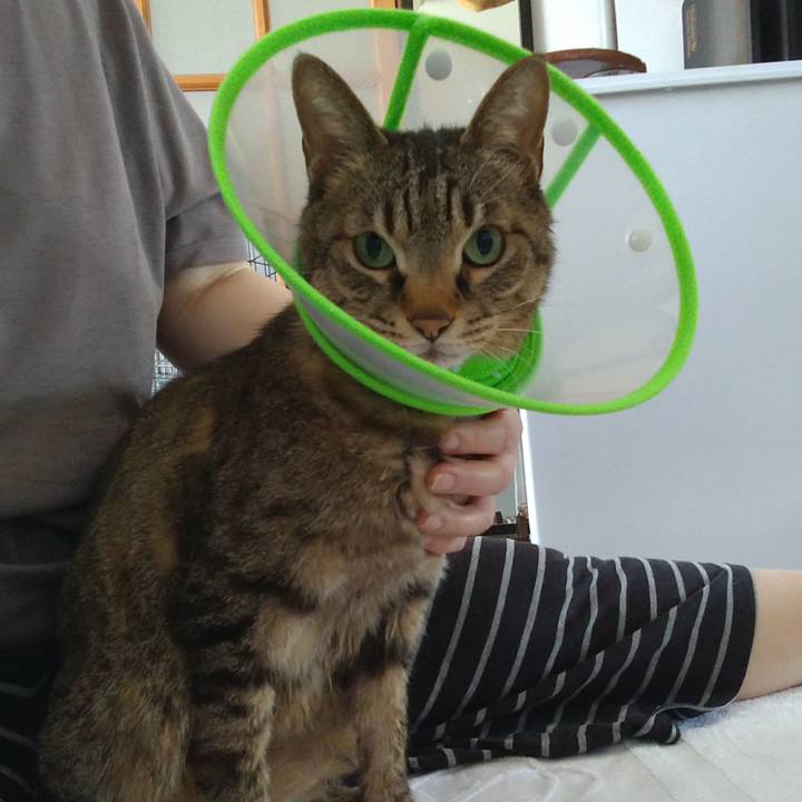 79ff1f4f b12e 4dd9 a806 3b79264d3d63 1742692581535