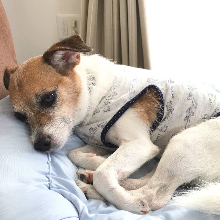 79ff2263 27ee 4d99 93aa d35338630abb 1566364506865