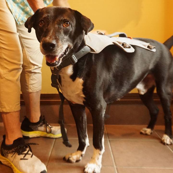 79ff4413 3546 4d12 80e8 53a8b27ea057 1755302501349