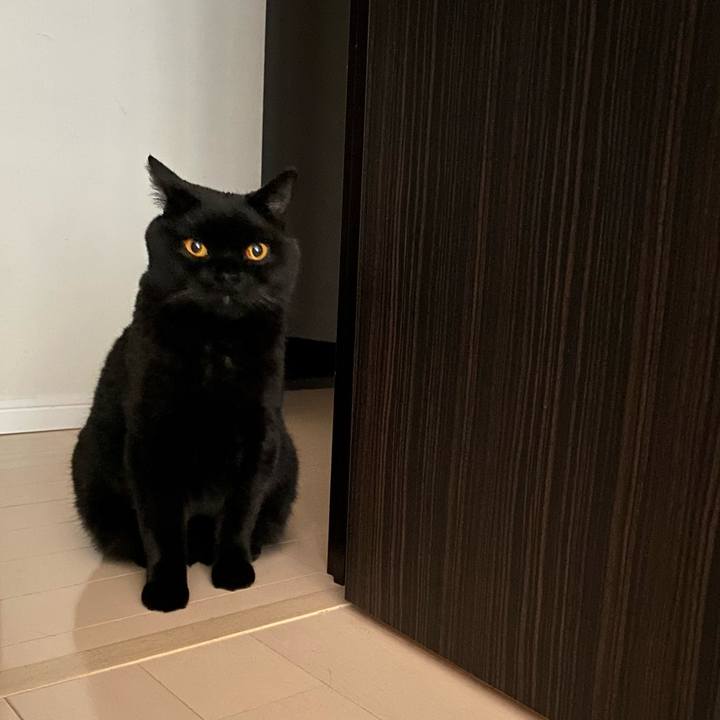 79ff5d60 f64c 4019 8cef 3393cd476415 1663142842664