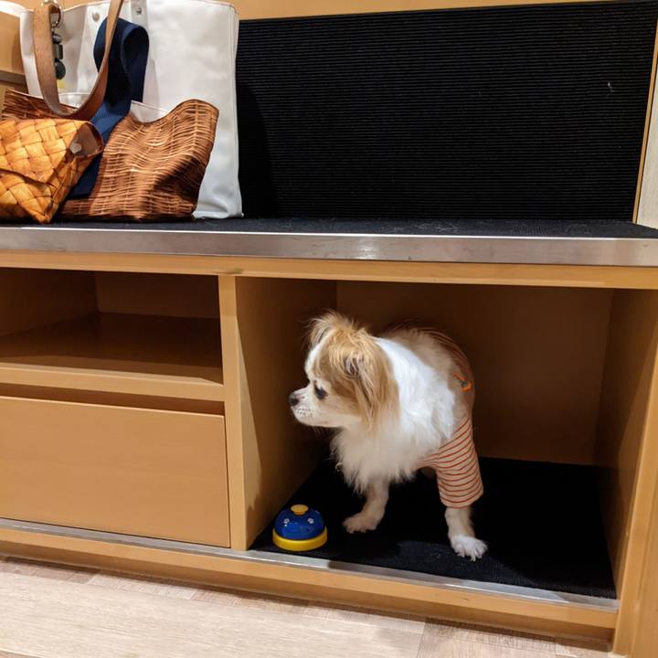 79ffc58f ae93 47e0 9e02 e57462c8e0a1 1663605086646