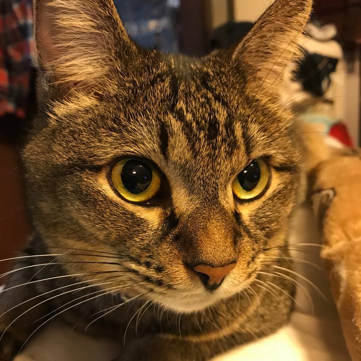 79ffe8c3 3ce2 4911 9c8d bc3d0e977e57 1508011538337