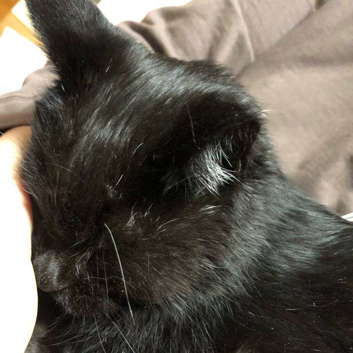 79ffea37 6457 48bd 9f97 536bab9186a9 1644927514857