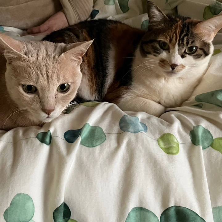 79fff287 87e6 4988 8823 53b870a07ffb 1683442339386