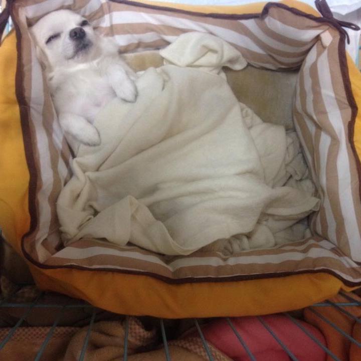 7a000bf6 81a7 4acb ad5b d381b1f20d11 1605301007136