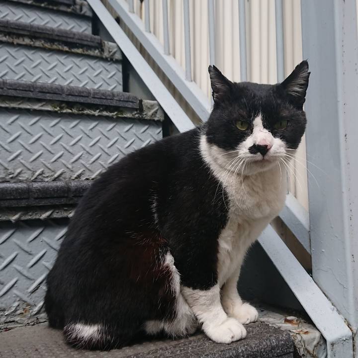 7a001876 3bd1 47a4 b21d 79145fbddebb 1583401981399