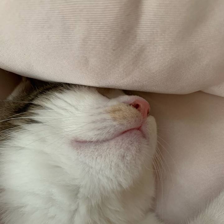 7a003048 d349 40dd ba14 9dd7aba52672 1596680024415