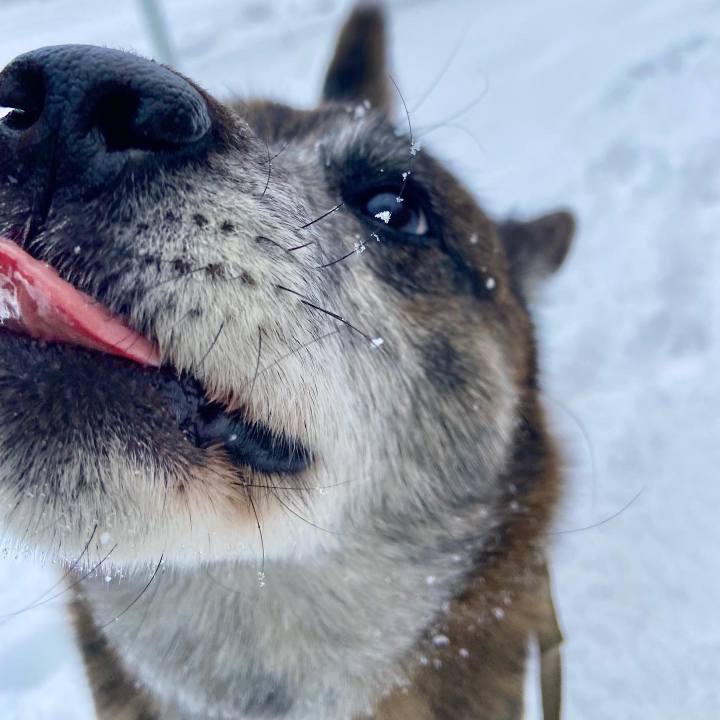 7a005cb1 f769 43ee bf48 91ae7320dee1 1644188838792