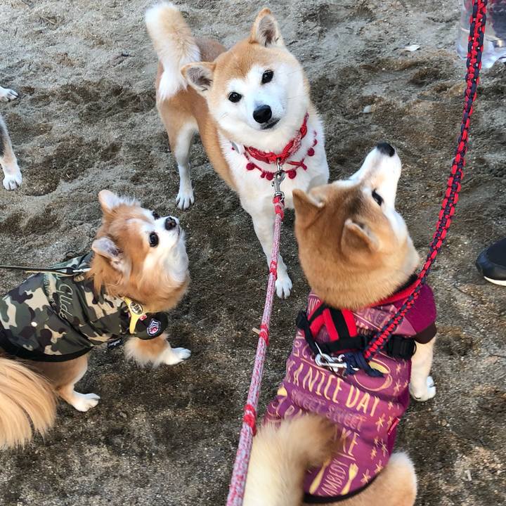 7a00693b a4de 4ed6 a506 b5b03394ea0a 1643070767872