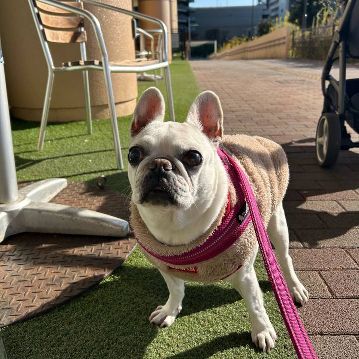 7a00c166 2aa6 460e 9de8 23af3282e306 1735190225395