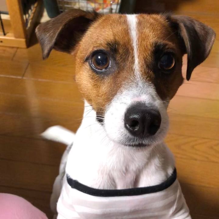 7a00d898 37bb 4a50 b9e6 83a4919c6405 1569069746456