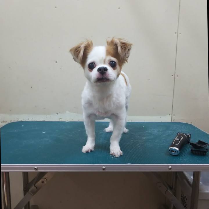 7a00ff4e 23ae 4b27 8611 e971e9fa5e76 1569649614357