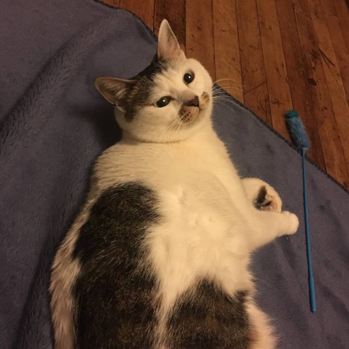 7a010e6b f54e 437b 8c17 f9810aa9993f 1548121550703