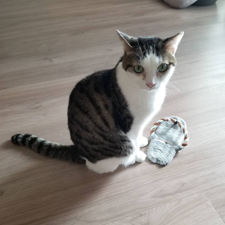 7a012604 af69 42a1 bfef 1545d4d3f8eb 1620168636381