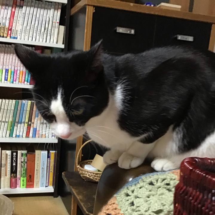 7a0140ea 7607 4dd8 81ba c244f2d403ff 1678270387419