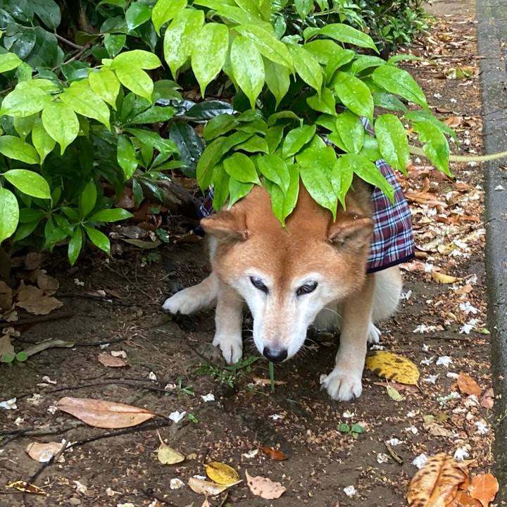 7a0154cd 569b 4cfb afcc 4566e52e40bd 1683432525443