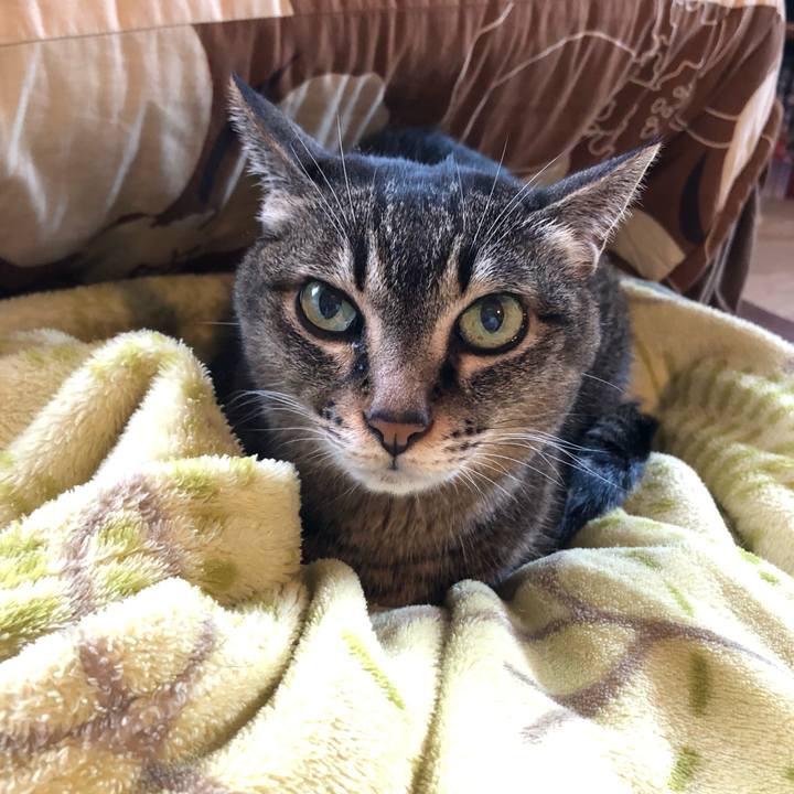 7a01d06e 6bba 4b82 9896 610c9305b7b5 1652492805630