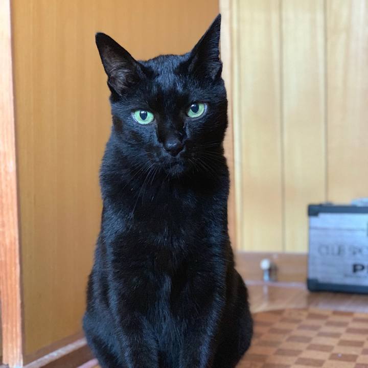 7a021203 0bce 400d b16d 10d4a7eaaf87 1567301100607