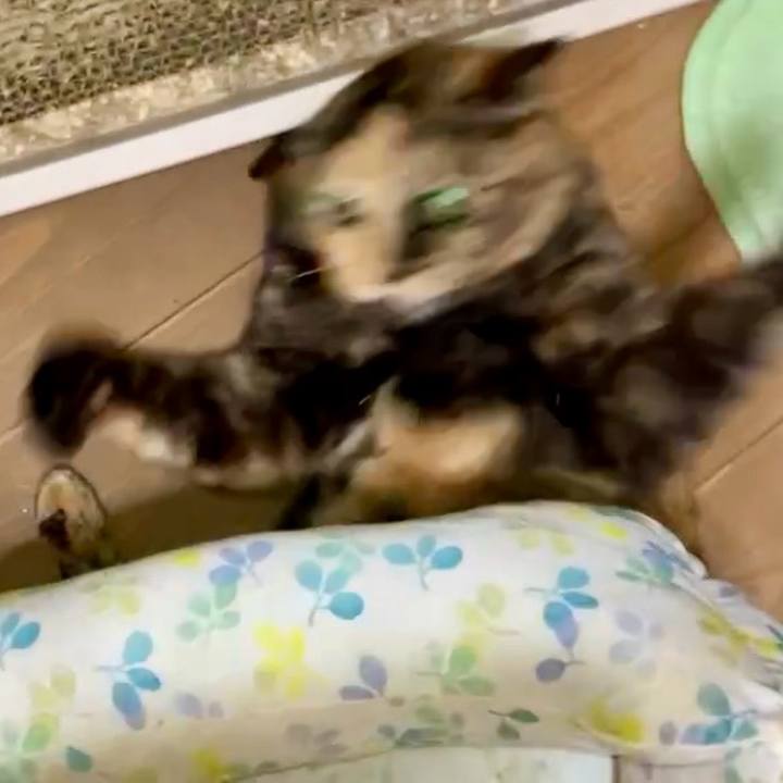 7a022494 bc49 483f bd5f 8df795d807cb 1731177159025