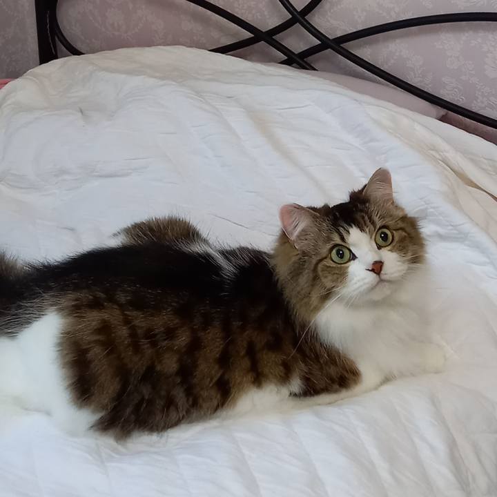 7a023e16 9aae 4aec ad3f 9d4a1f16ca8c 1636837215642