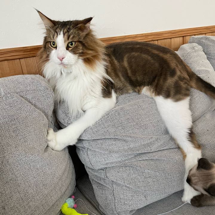 7a024bcf a7a2 4906 9ecb 1d01da0ce0aa 1689546157796