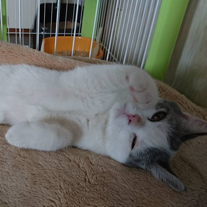 7a02785c 95e1 4377 b209 419b5f50c54c 1533346891295