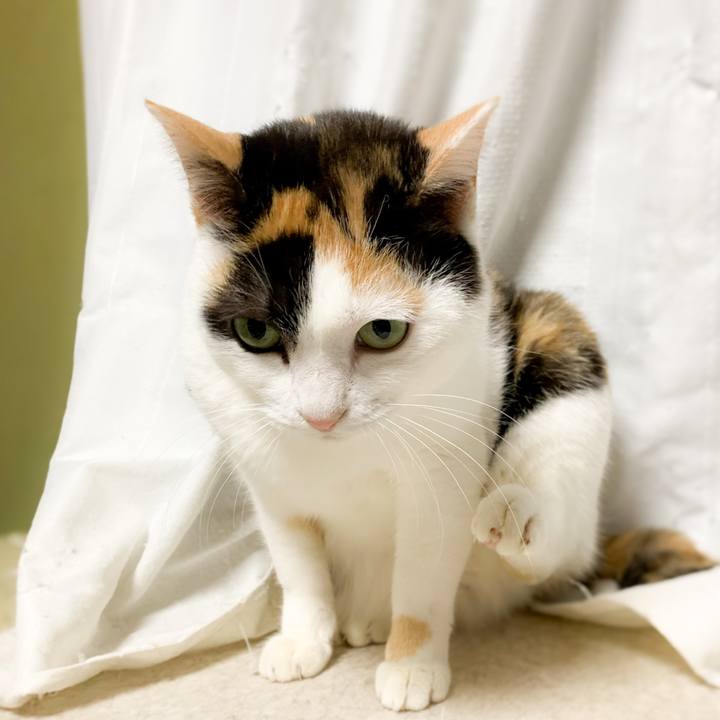 7a029550 b07a 4041 9b24 1c398d665c69 1583893873048