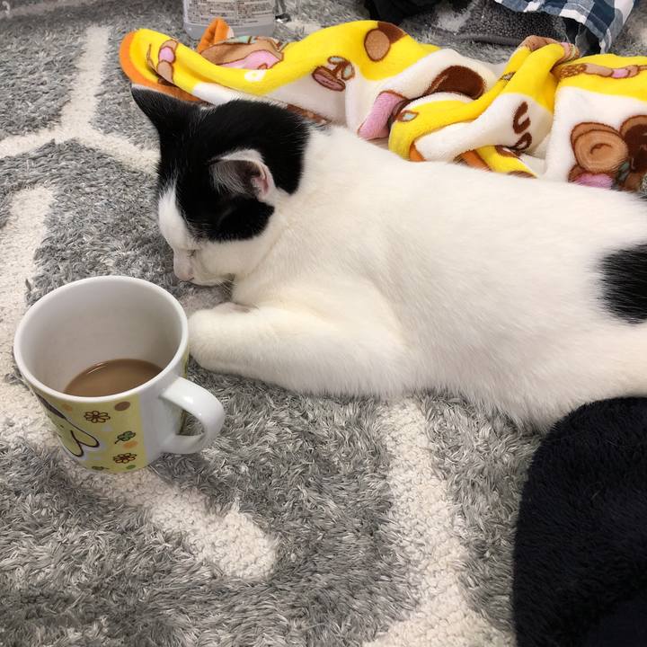 7a02a701 f00e 4abe a084 3441565be769 1557882874143