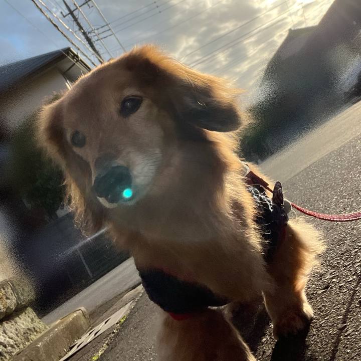 7a02be2e c245 425e 82a4 092c04ab5f81 1680091864506