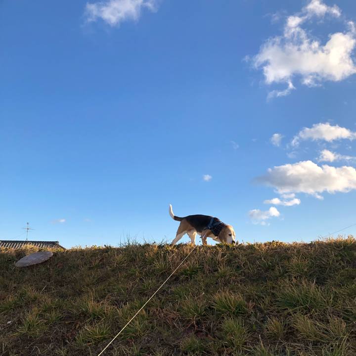 7a02f10c 6cf6 4b0a a4d7 15b3867cdf54 1547034482498