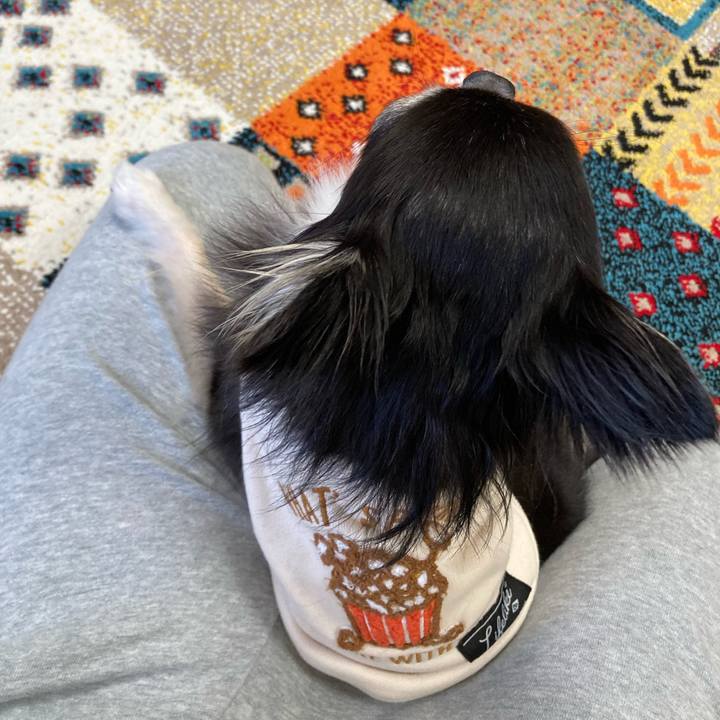 7a03232d 63ed 4d39 ab56 ebf273e7ffd9 1702093396504